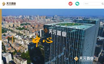 自貢黑羽網絡網頁制作案例-湖南天元置業有限公司