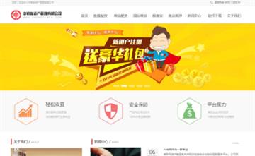 自貢黑羽網絡網頁制作案例-湖南中銀發投資管理有限公司
