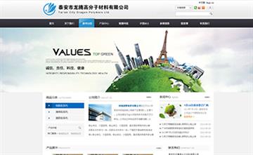 自貢黑羽網絡網頁制作案例-泰安市龍騰高分子材料有限公司