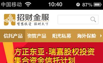 自貢黑羽網絡網頁制作案例-深圳前海招財樹金融服務有限公司