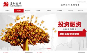 自貢黑羽網絡網頁制作案例-道和圣成（北京）投資基金管理有限公司