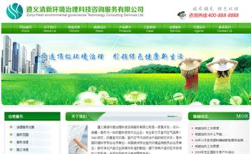 自貢黑羽網絡網頁制作案例-遵義清新環境治理科技咨詢服務有限公司
