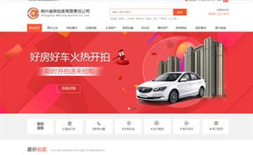 自貢黑羽網絡網頁制作案例-郴州威榮拍賣有限責任公司